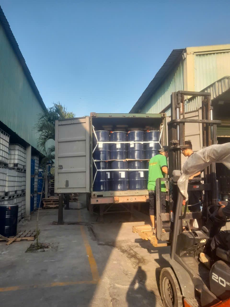Sợi lục bình được nhúng keo sữa trong công đoạn gia công hàng thủ công mỹ nghệ